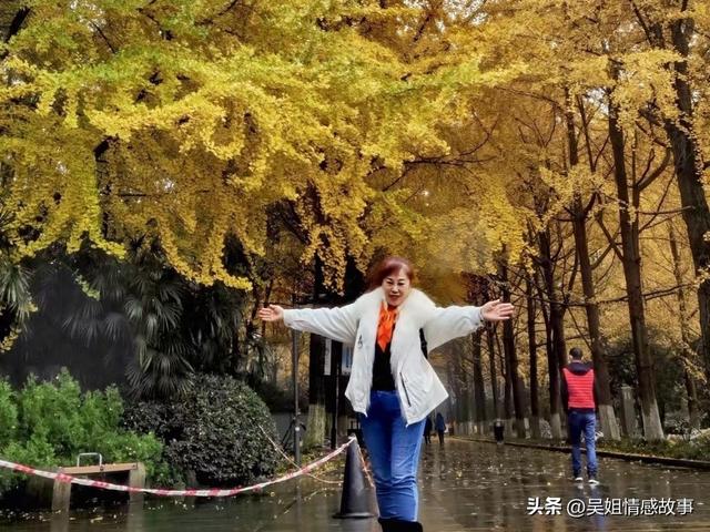 秋日成都漫游指南：把日子过成桂花味的诗