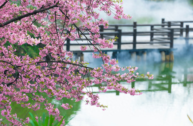 限时开通！直达鼋头渚