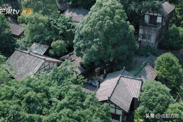 成都千年古镇再上热播综艺！同款取景地速存→