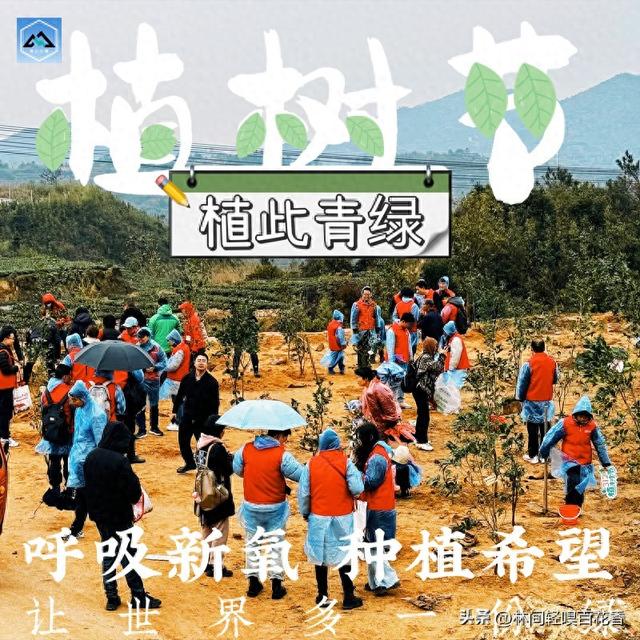 厦门植树节去哪里种树？这份春日指南请收好