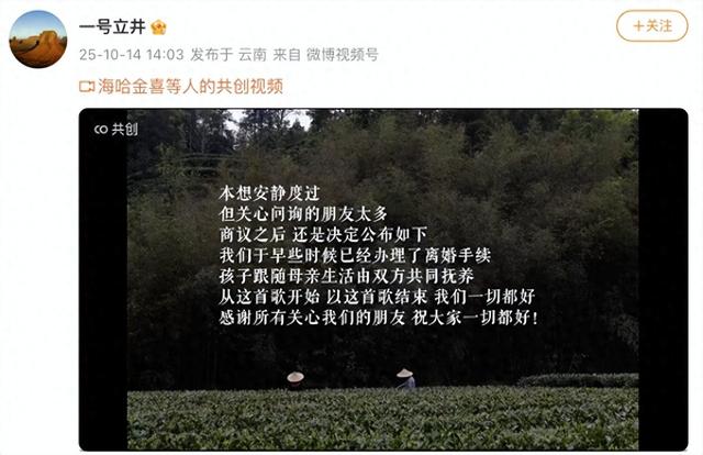 李亚鹏官宣离婚