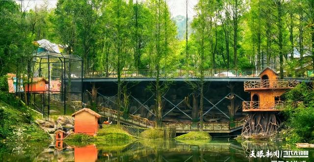 遵义动物园2月7日焕新开园