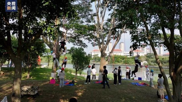 火查人绳索破解版（爬树也能修学分这所高校的攀树课一课难求）