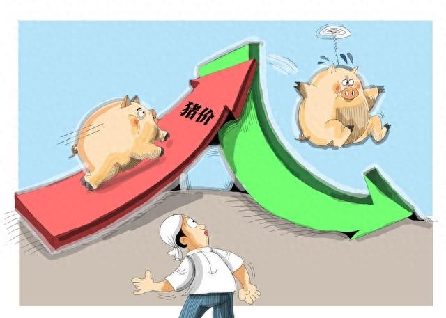 猪价崩盘预警！跌得“一塌糊涂”！主要原因曝光！