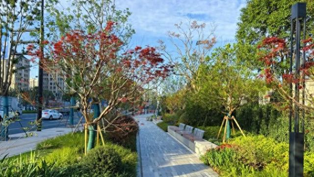 此时的桃浦，已经美成这样了……