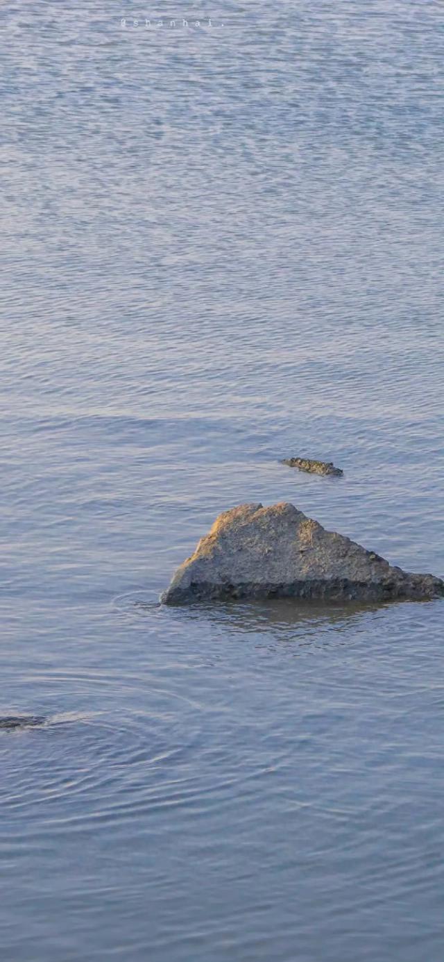 壁纸｜小事藏欢，日子满甜