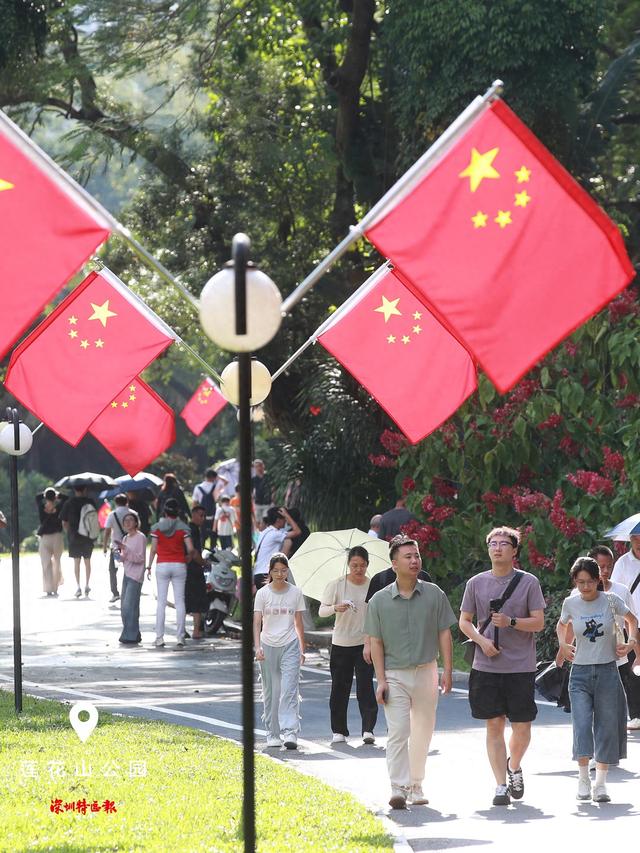 美丽深圳·每日一图｜2025年10月7日