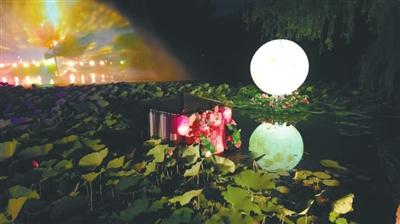北陵公园“上新” “荷”你共度夏夜