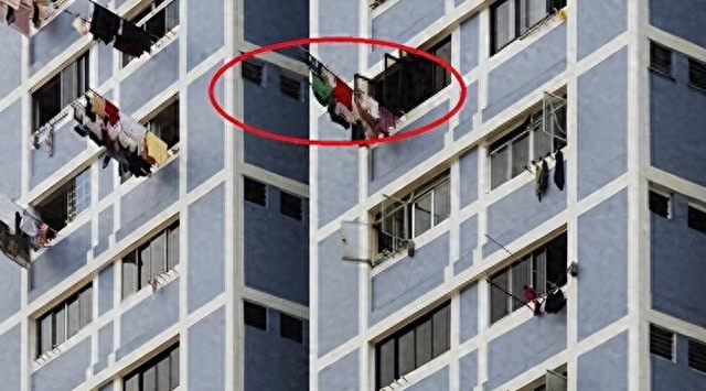 被浙江发现一户人家阳圈粉了！果然是聪明人的做法，大开眼界