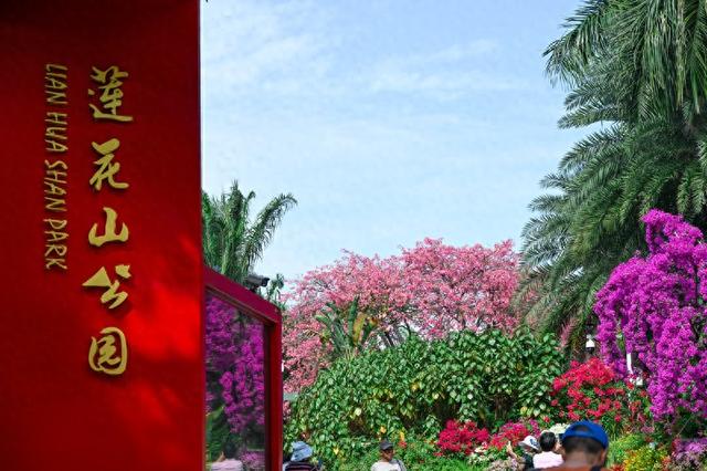 深活指南｜免费！深圳这些赏花点美成漫画，不允许有人不知道！