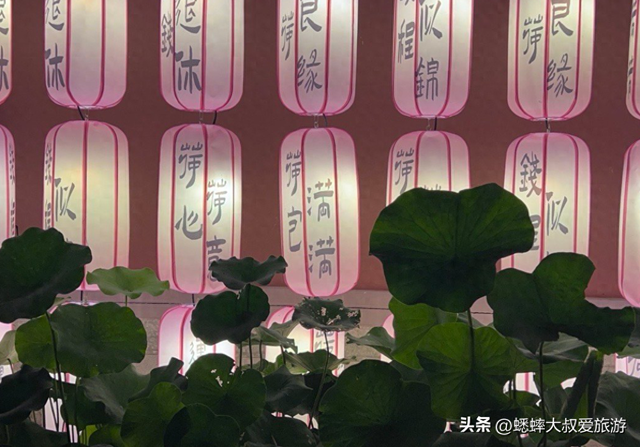 杭州千年古祠终于夜间开放，独特光影与节目，让秋日欢乐加倍！