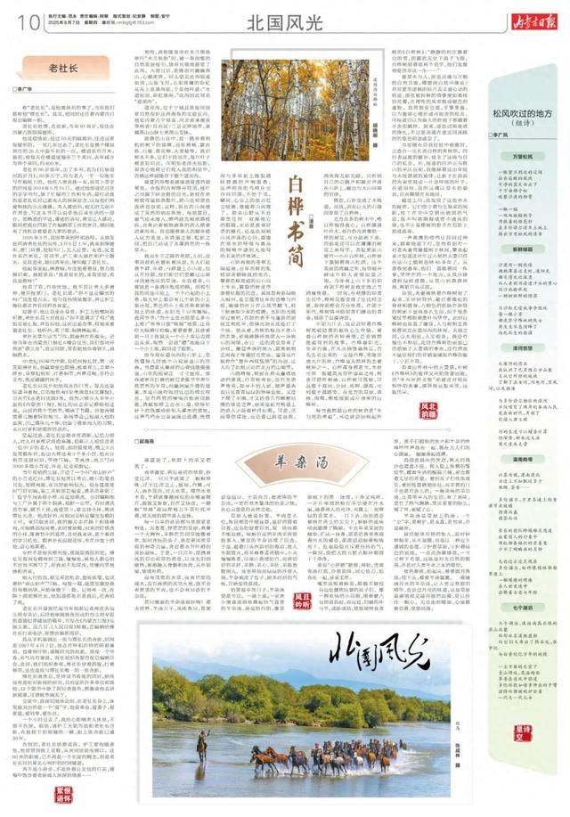 北国风光｜白桦书简