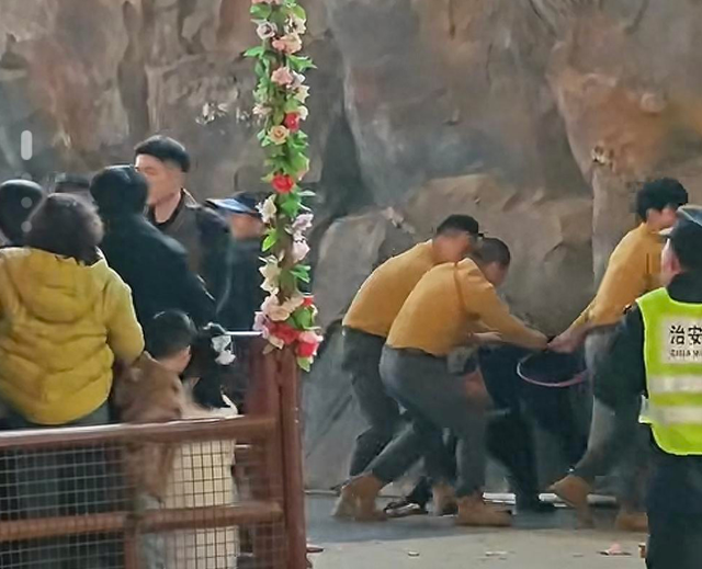 杭州野生动物园动物表演黑熊突袭饲养员	，被工作人员分开 观众：离得比较远，表演被取消
