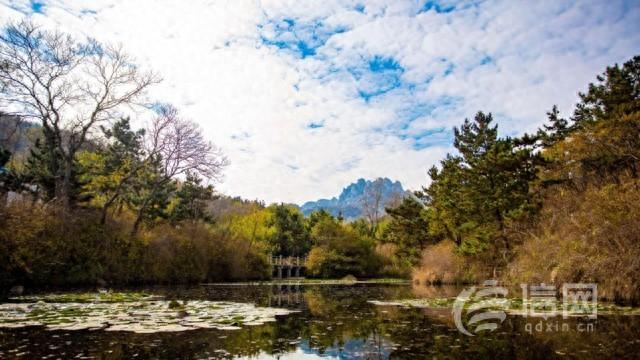 山海校园共绘秋日画卷 青岛古镇口旅居圈秋冬打卡指南发布