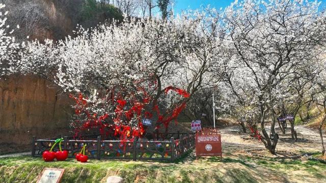 这一次，不得不去新安了！