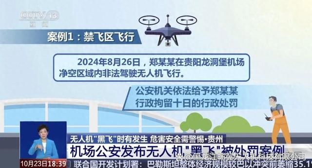 2025年10月10日 第113页