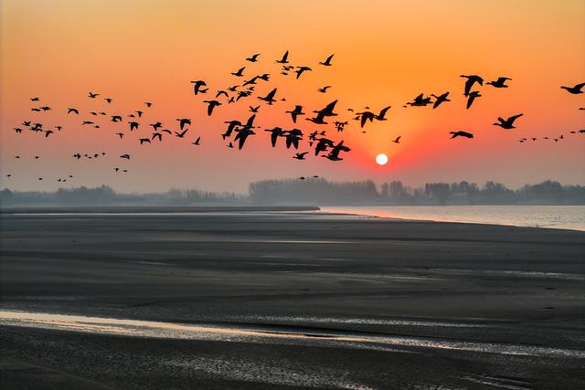 鸟眼里的5A级景区！候鸟迁徙大军又来河南过“寒假”