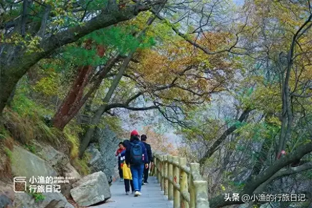 西安秦岭最美峪口之一，把山水玩到了极致！秋色正浓，就现在！