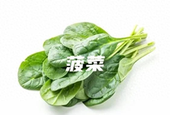 秋分种菠菜别瞎忙！记住“3时4步”，30天鲜嫩菠菜端上桌