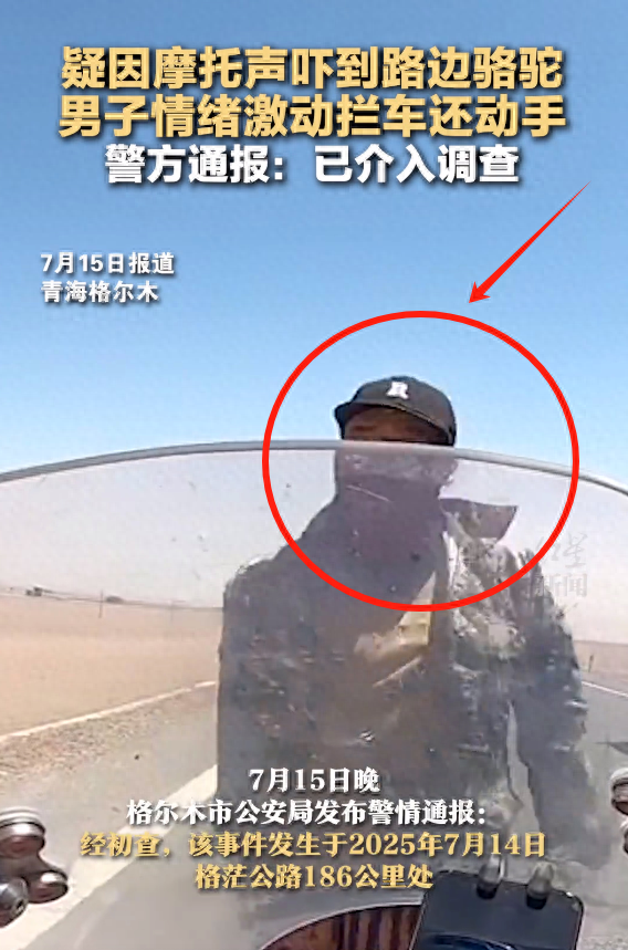 摩旅青海被牧民打头后续！7峰骆驼丢失，当地人发声 骑手有错在先