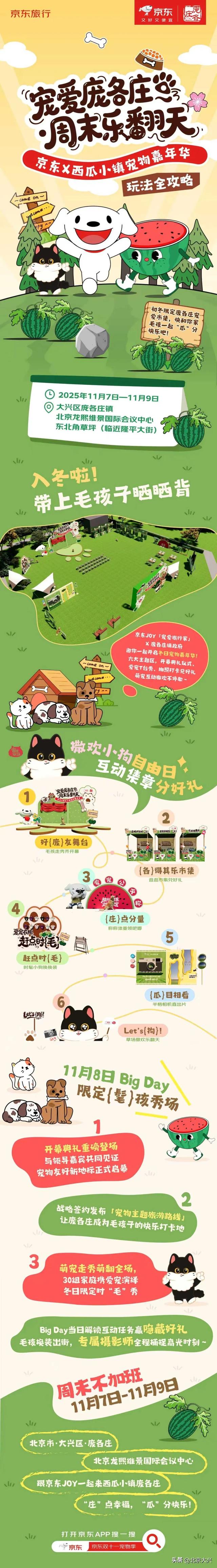 周五开启！宠物嘉年华玩法全攻略——