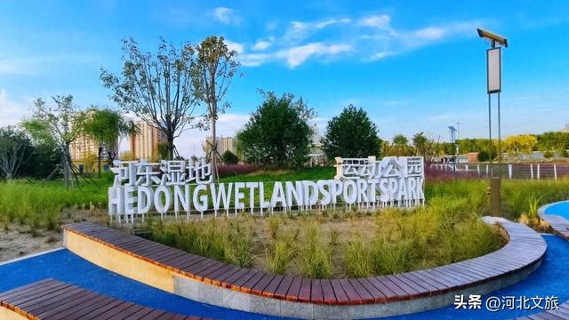 实拍!秦皇岛家门口的免费好去处,这个百亩湿地公园晚上也能逛~