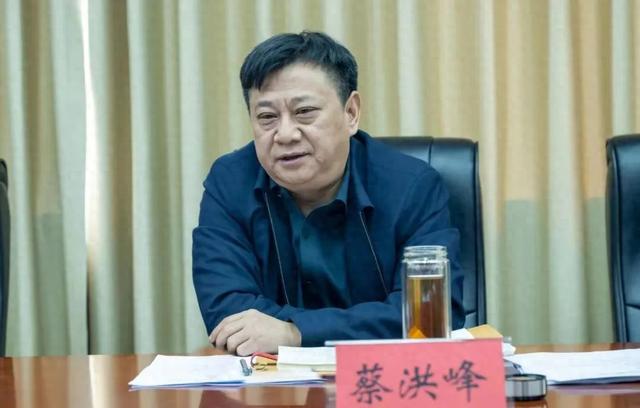 洪峰简历优化（河南官宣蔡洪峰）