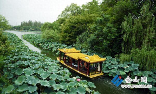 气温暂降 游园正当时