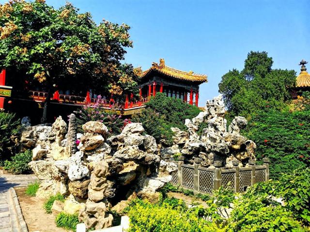 前庭大腺炎的表现是什么（前庭神经炎有哪些表现）