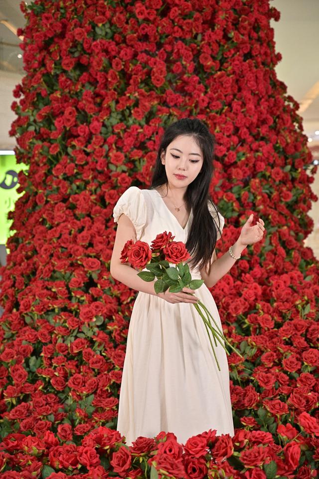 鲅鱼圈最美玫瑰打卡地，有多美