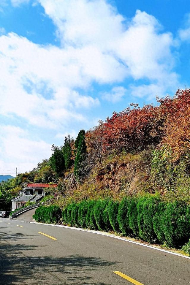 博山镇门峪：看漫山红遍，赏秋日画卷
