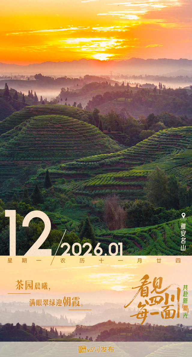 早安四川丨茶园日出