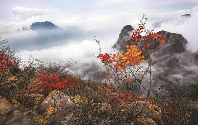 涉县太行五指山——浓浓秋意别样景