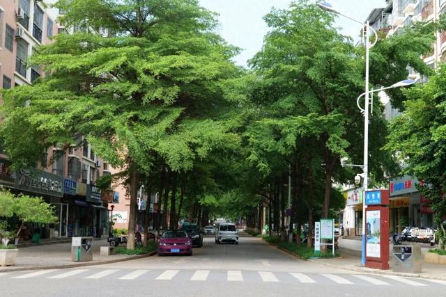 20℃+！出发，去元阳过冬🤩