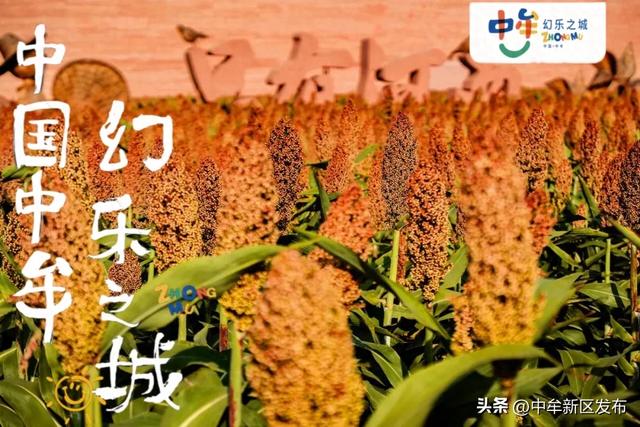 国家级认可！中牟这家景区，入选 “中国服务” 年度创意案例