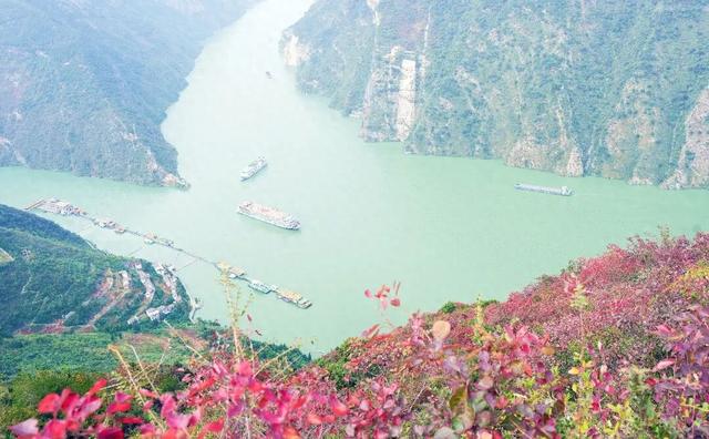 巫山：红叶漫山待客来