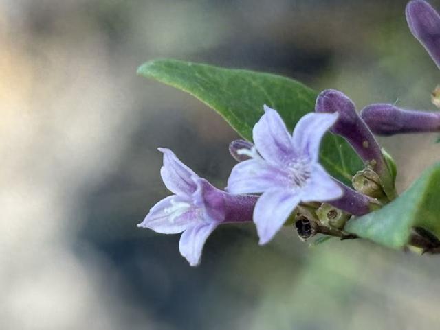 人过五十才明白：有些人，不必原谅