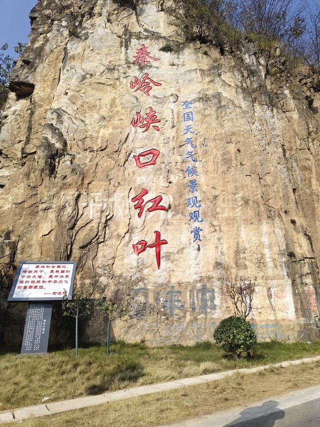 南行漫记：从卢氏走陕西S101红叶大道到南五台服务区露营