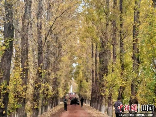 山西：长城公路秋意浓 左云盛景醉游人
