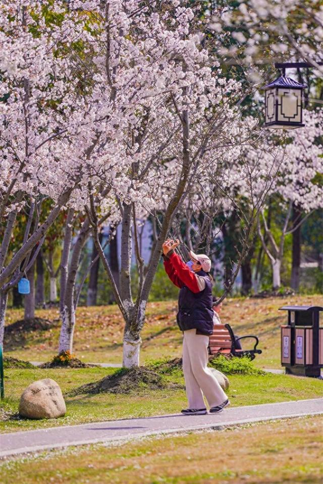 3 月旅行地推荐！这17 个地方春暖花开美到不像话，第一个直接心动