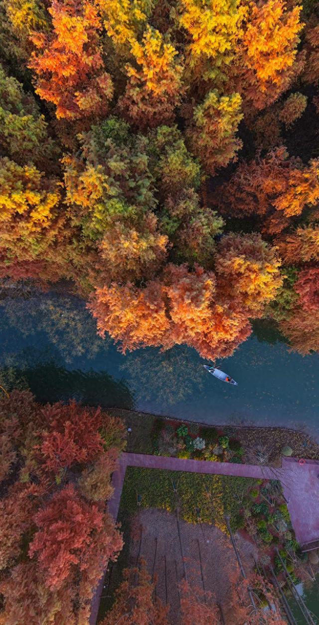 开园即出圈！新建横沔公园开放半个月，单日游客量最高近1万，魅力到底在哪儿