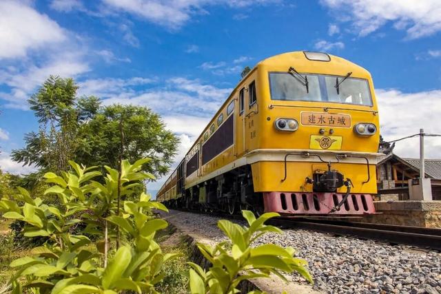 时速仅25公里！观光米轨小火车火了！