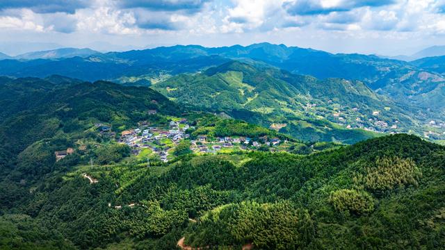 乡村游打卡龙上村：舞落杉间 溪映欢颜