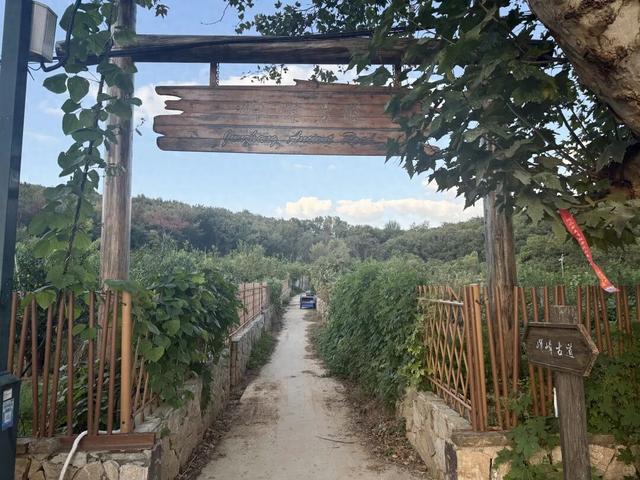 户外！户外！重要提醒