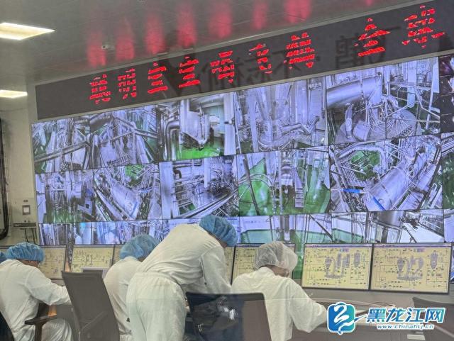 从智能车间到文旅地标：飞鹤工业游书写东北产业融合新篇