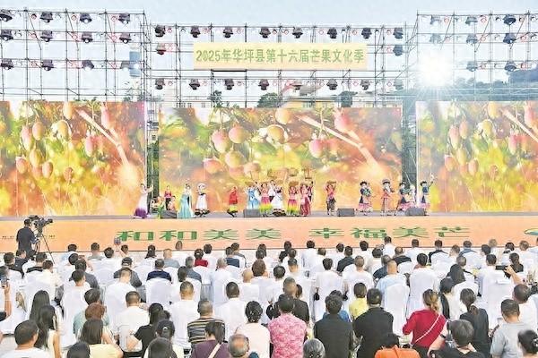 华坪县芒果文化季开幕