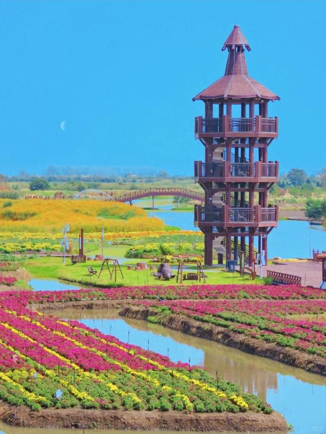 江苏大变局！兴化突然爆红，江苏中部市县集体看懵～