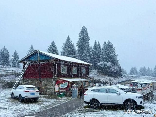 甲依拉措 ：一场白雪与彩林的盛宴