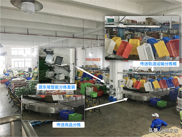 2025年B端生鲜配送系统前五排名，深度挖掘配送小白该如何选型