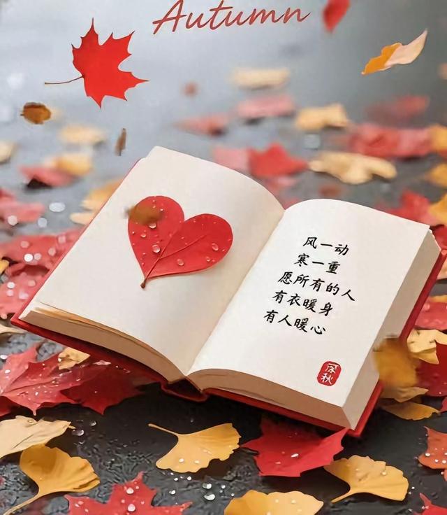 小雪，美景怡人